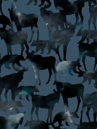 ARMAScollege (Aarniomets&auml; blue stretch college)