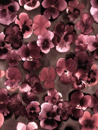 VILMAdress (Orvokki brown / wine jersey)