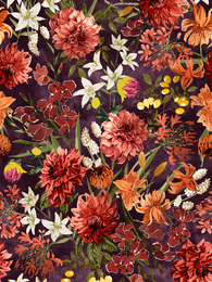 SAANAshirt (Tiikerinlilja orange / purple stretch college)