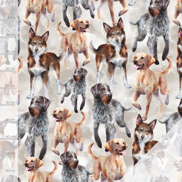 Doglove (light sand) stretch college